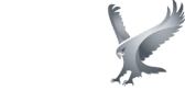 Eagles Flight